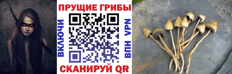 Галлюциногенные грибы ЛСД  Зверево 